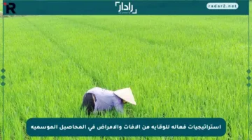 استراتيجيات فعالة للوقاية من الآفات والأمراض في المحاصيل الموسمية